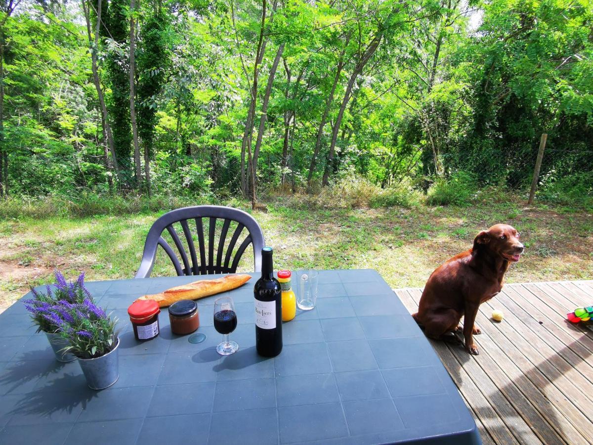 Camping Le Coin Charmant Chauzon Ngoại thất bức ảnh